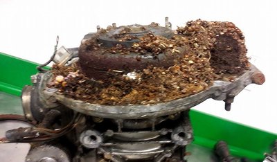 Look at what Brock found inside of the engine.  The belly pan was full of them too.  Most common name for them is "Stink Bug".