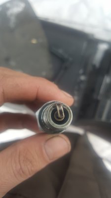 plugs.jpg