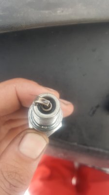 plugs2.jpg