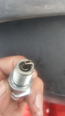 plugs3.jpg